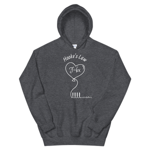 Hooke's Law x aviatorballoons Hoodie